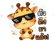 885029497