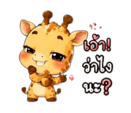 885029504