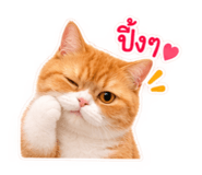 885030117