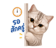 885031805