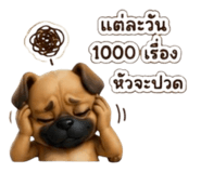885038254