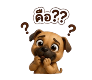 885038256