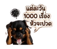 885040731