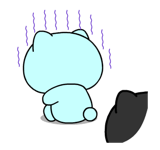 885050400