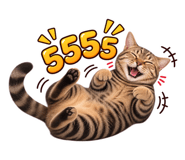 885074717