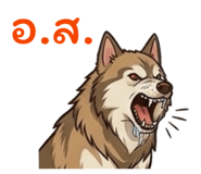 885082205