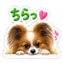885092129