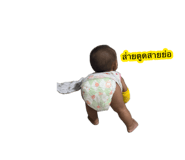 885101342