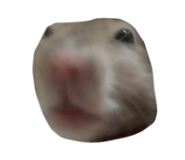 885104641