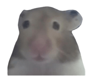 885104642