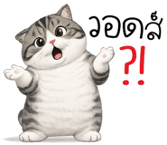 885110848