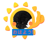 885132330