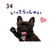 885132595