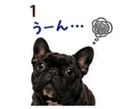 885132598