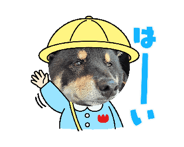 885134613