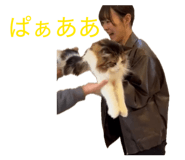 885136675