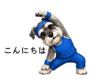 885138149