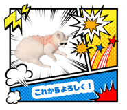 885138502
