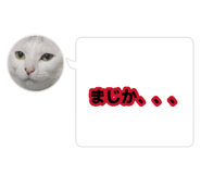 885138503