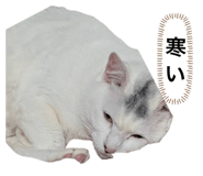 885138510
