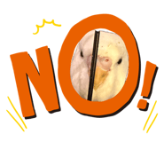 885138778