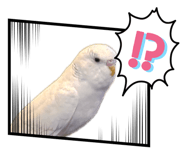 885138783
