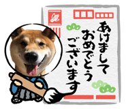 885138822