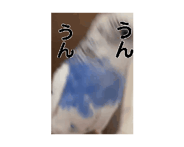 885139697