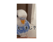 885139698