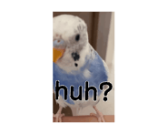 885139702