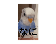 885139703