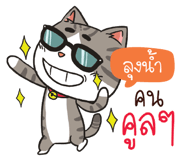 885142919