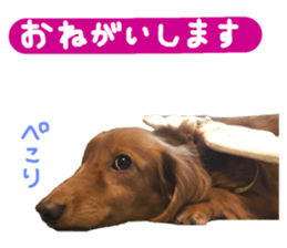 88515424