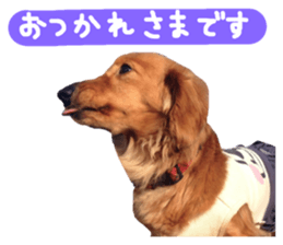 88515433