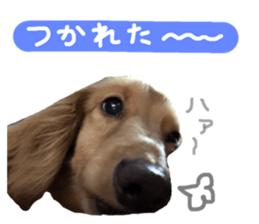 88515435
