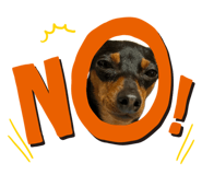885157855