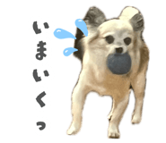 885173571