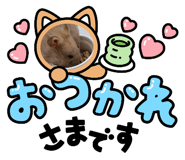 885176699