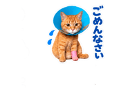 885179395