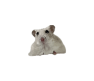 885180670