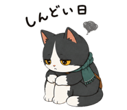 885207777