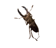 885241485