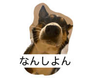 885244224