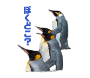 885244723