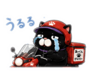 885244855
