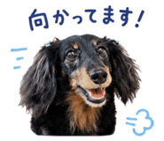 885245641