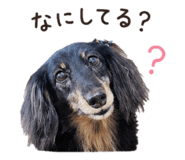 885245658