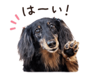 885245659