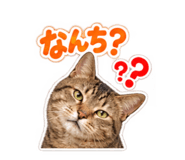885265687