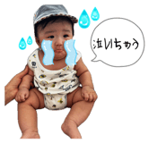 885267253